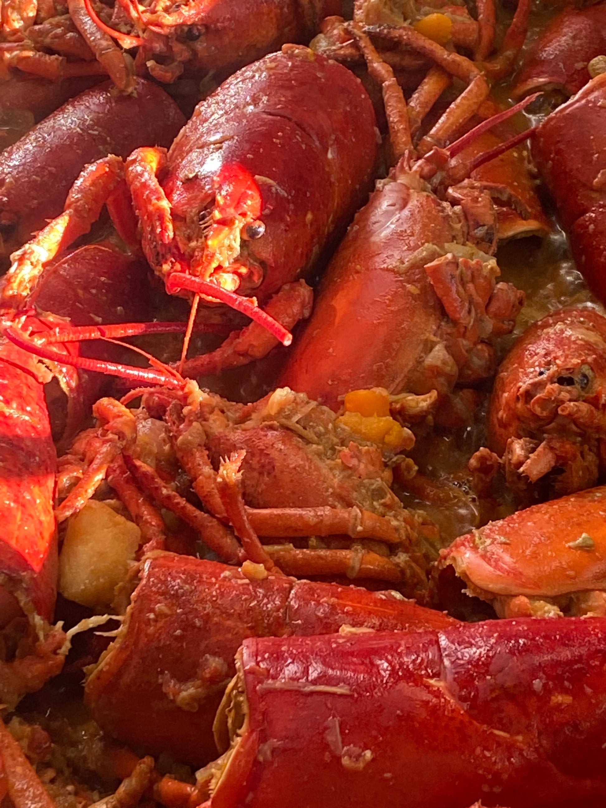 Rittmeyers Besondere Raffinessen HUMMER-ZITRONENGRASSUPPE: gekochter Hummer in einer würzigen, thailändisch inspirierten Brühe mit sichtbaren Scheren, Schalen und zarten Fleischstücken.