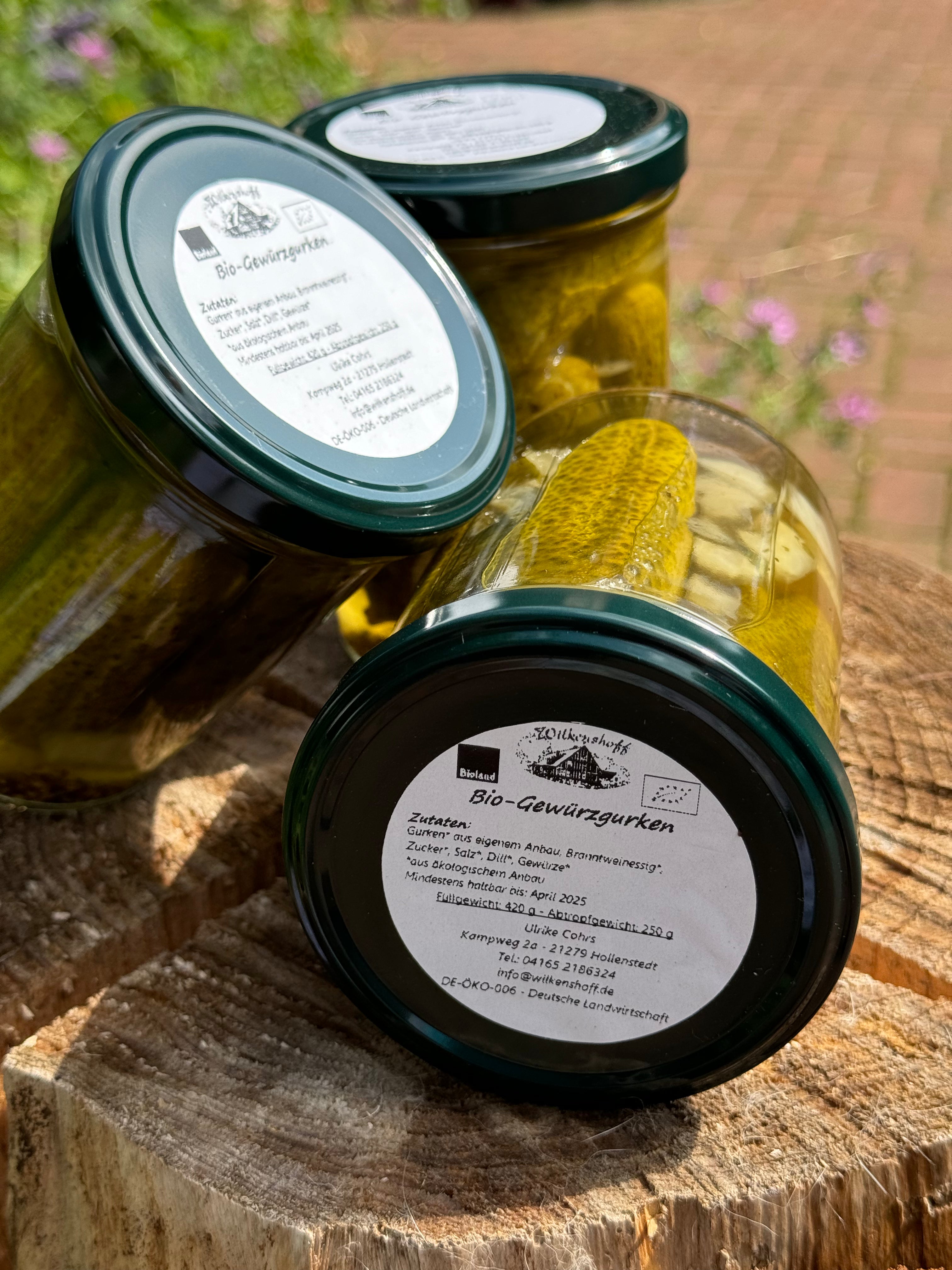 JENS RITTMEYER | EINGELEGTE GEWÜRZGURKEN JENS RITTMEYER | EINGELEGTE GEWÜRZGURKEN