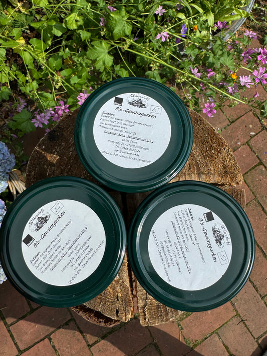 Drei mit der Aufschrift EINGELEGTE GEWÜRZGURKEN beschriftete grüne Gefäße vom Biohof Wilkenshoff ruhen auf einer Holzoberfläche, inmitten lebendiger Freilandpflanzen und Blumen, frisch aus Niedersachsen.