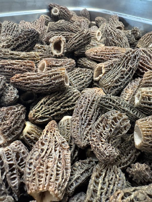 MORCHELRAHM-SAUCE Sonderedition