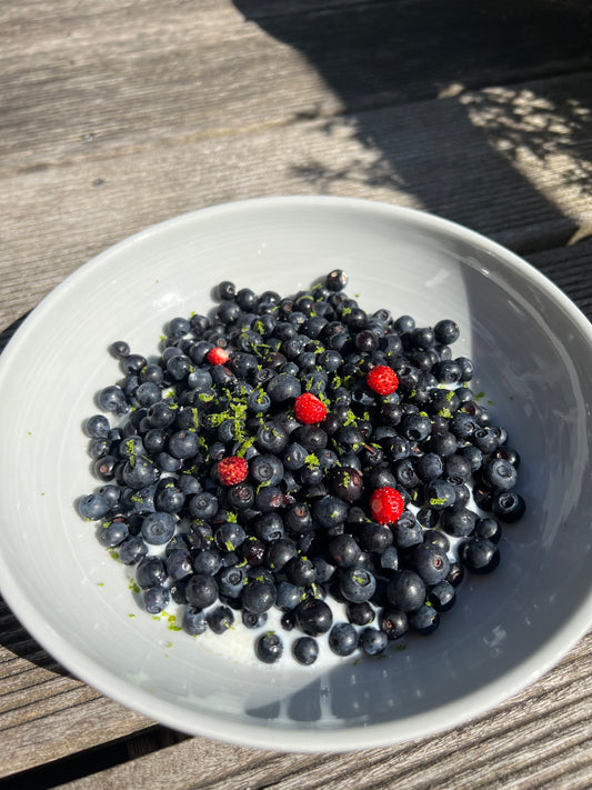 FRUCHTAUFSTRICH "BLAUBEER-KIRSCH-ARONIA"