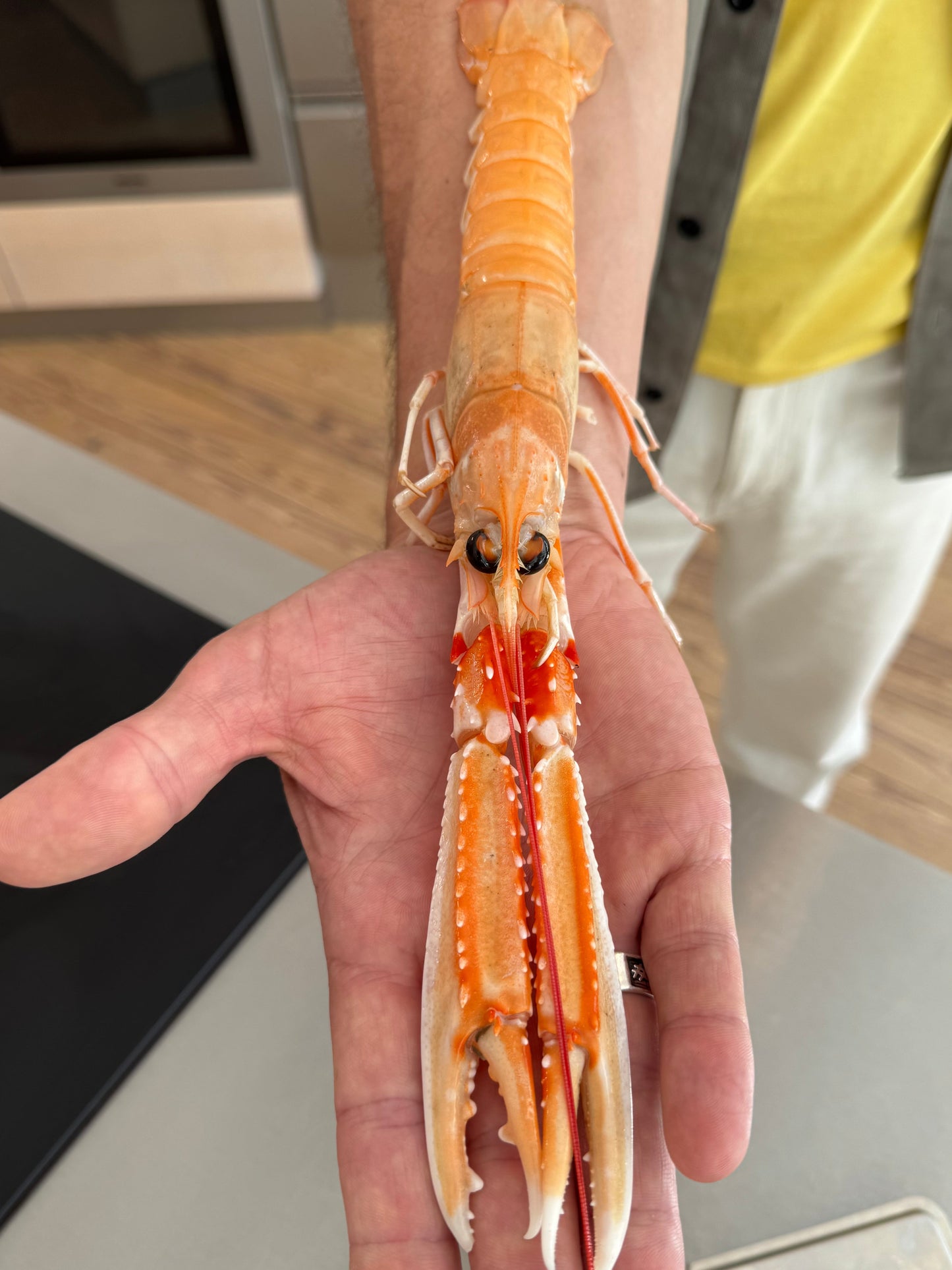 LANGOSTINO-ZITRONENGRASSUPPE