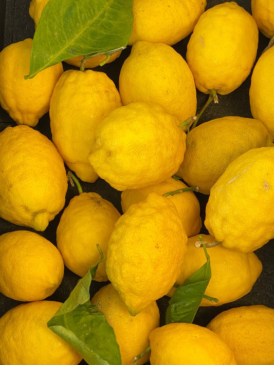 ZITRONEN-BÄRLAUCHJUS Sonderedition